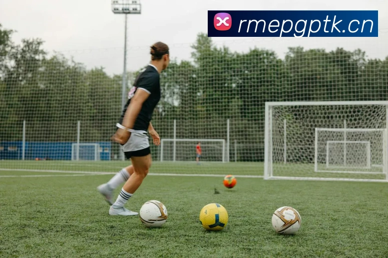 米兰体育网页登陆服务体系